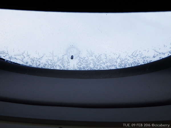 ANA　機内窓　氷　結晶