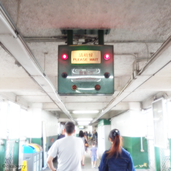 香港 Star Ferry 天星小輪 To Central 往中環