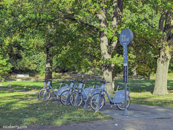 Slottsskogens djurpark